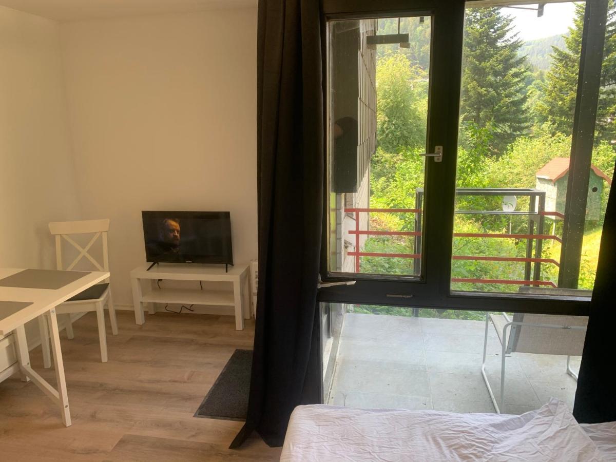 Kleines Einzimmer-Apartment 14 Bad Wildbad Exterior foto